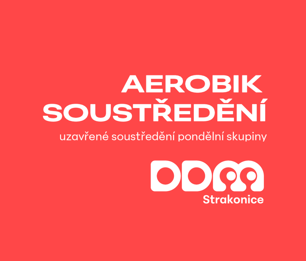 Aerobik RedVelvet soustředění