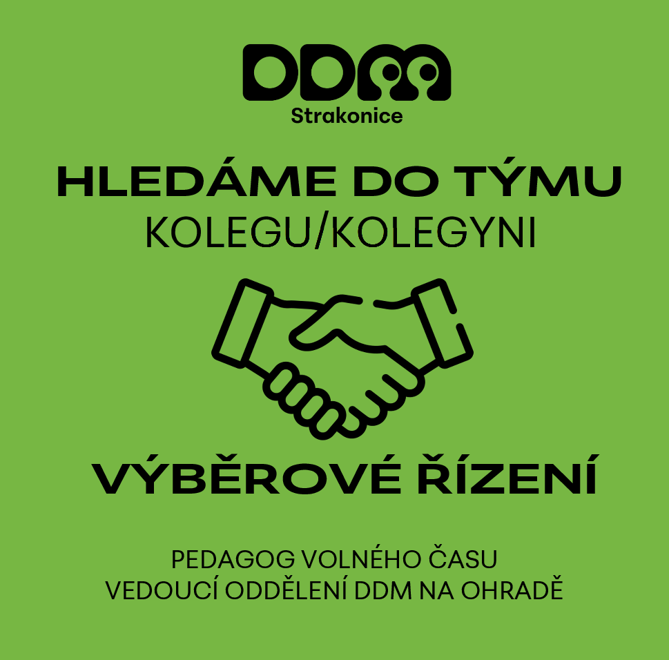 VÝBĚROVÉ ŘÍZENÍ - pedagog volného času