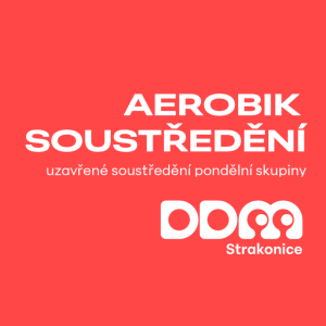Aerobik RedVelvet soustředění