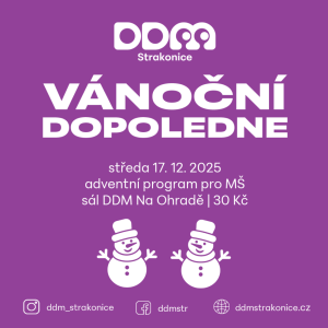 Vánoční dopoledne pro MŠ