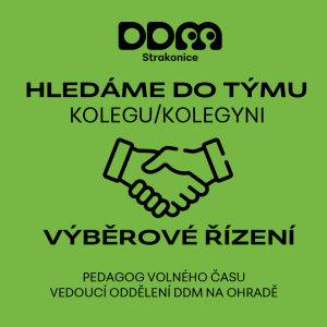 VÝBĚROVÉ ŘÍZENÍ - pedagog volného času